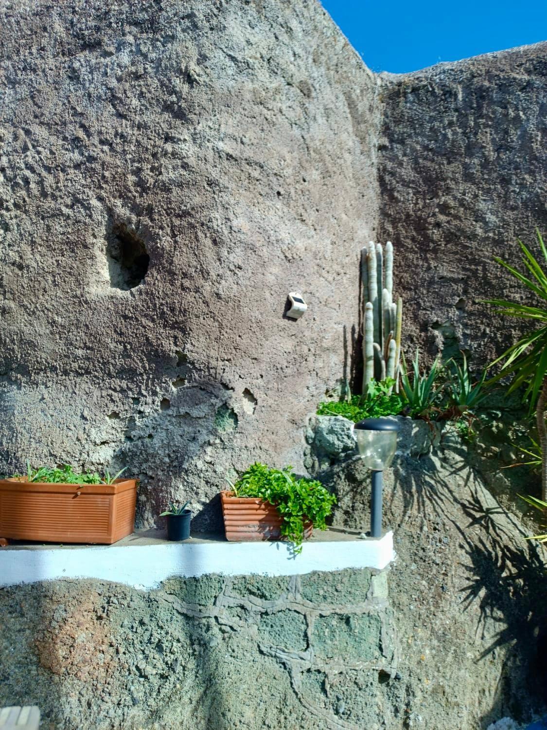 伊斯基亚Casa Delle Rose公寓 外观 照片